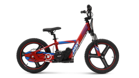 E-biker 16 pro