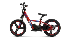 E-biker 16 pro